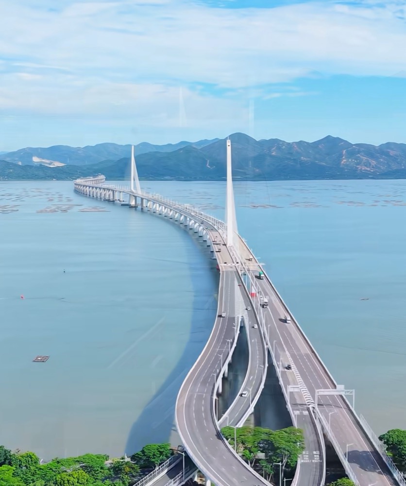 Aerial view of the Shenzhen Bay Bridge, its cable-stayed towers and curving approach ramps